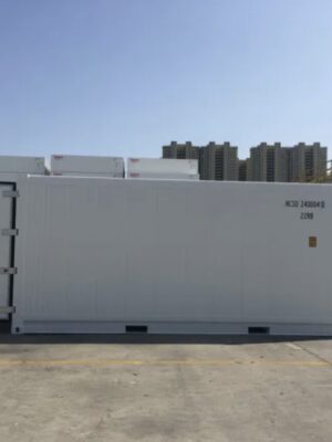 Container Frigo 20 Piedi "Domestic" - Pavimento Piatto & Luci (Thermo King Magnum+)