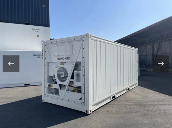 Container Frigo 20 Piedi "Side Door" (Apertura Laterale) Nuovo 2024 - Thermo King (-40°C)