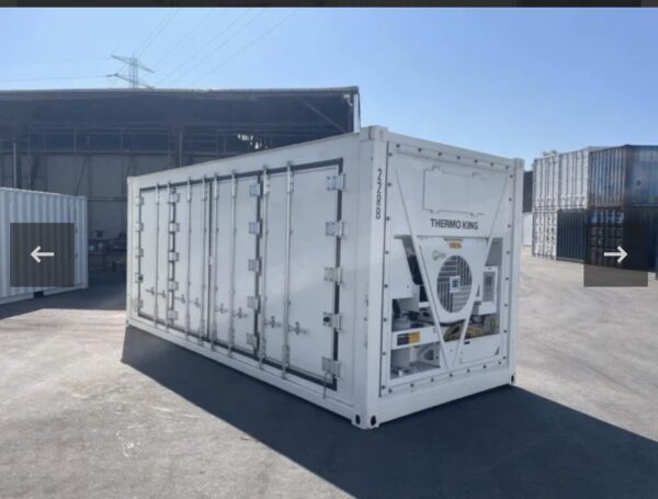 Container Frigo 20 Piedi "Side Door" (Apertura Laterale) Nuovo 2024 - Thermo King (-40°C)