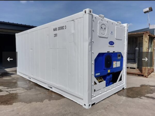 Container Frigo 20 Piedi Usato (2010) - Motore Carrier (CSC Valido)